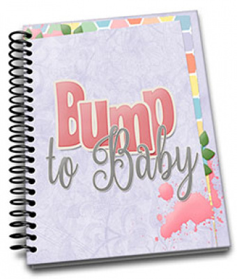 Pregnancy Journal
