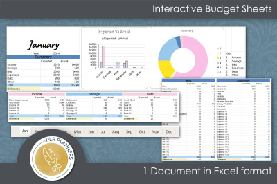 Excel Interactive Budget Sheet