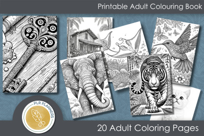 20 Unique Adult Colouring Images