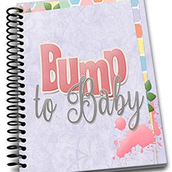 Pregnancy Journal