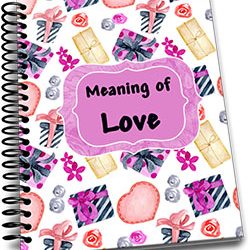 Meaning of Love Kid’s Valentines Journal