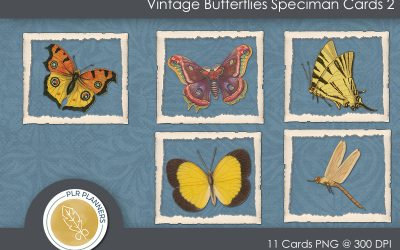 Speciman Cards Vintage Butterfly 02