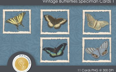Speciman Cards Vintage Butterfly 01