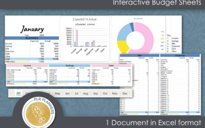 Excel Interactive Budget Sheet